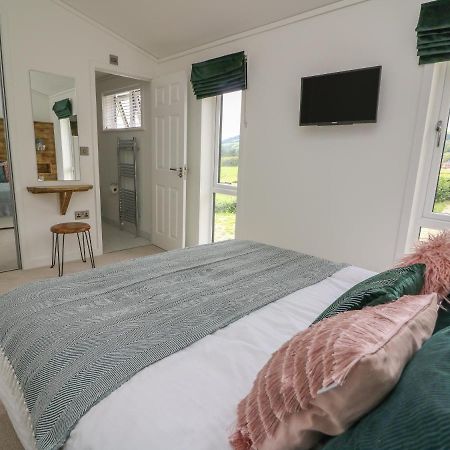 Ash Lodge Llanidloes Exteriör bild